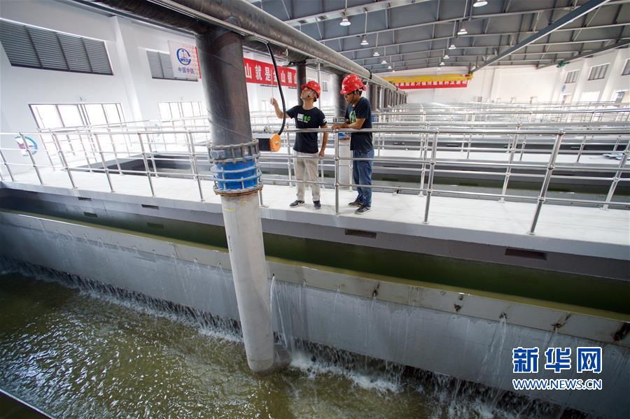 （环境）（4）福州洋里污水厂完成一二三期提标改造通水试运行