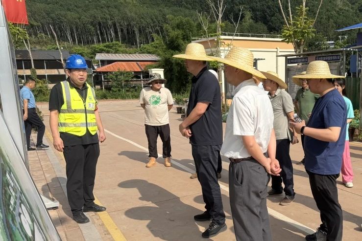云南省住房城乡建设厅村镇建设处处长马望一行到磨憨项目调研.jpg