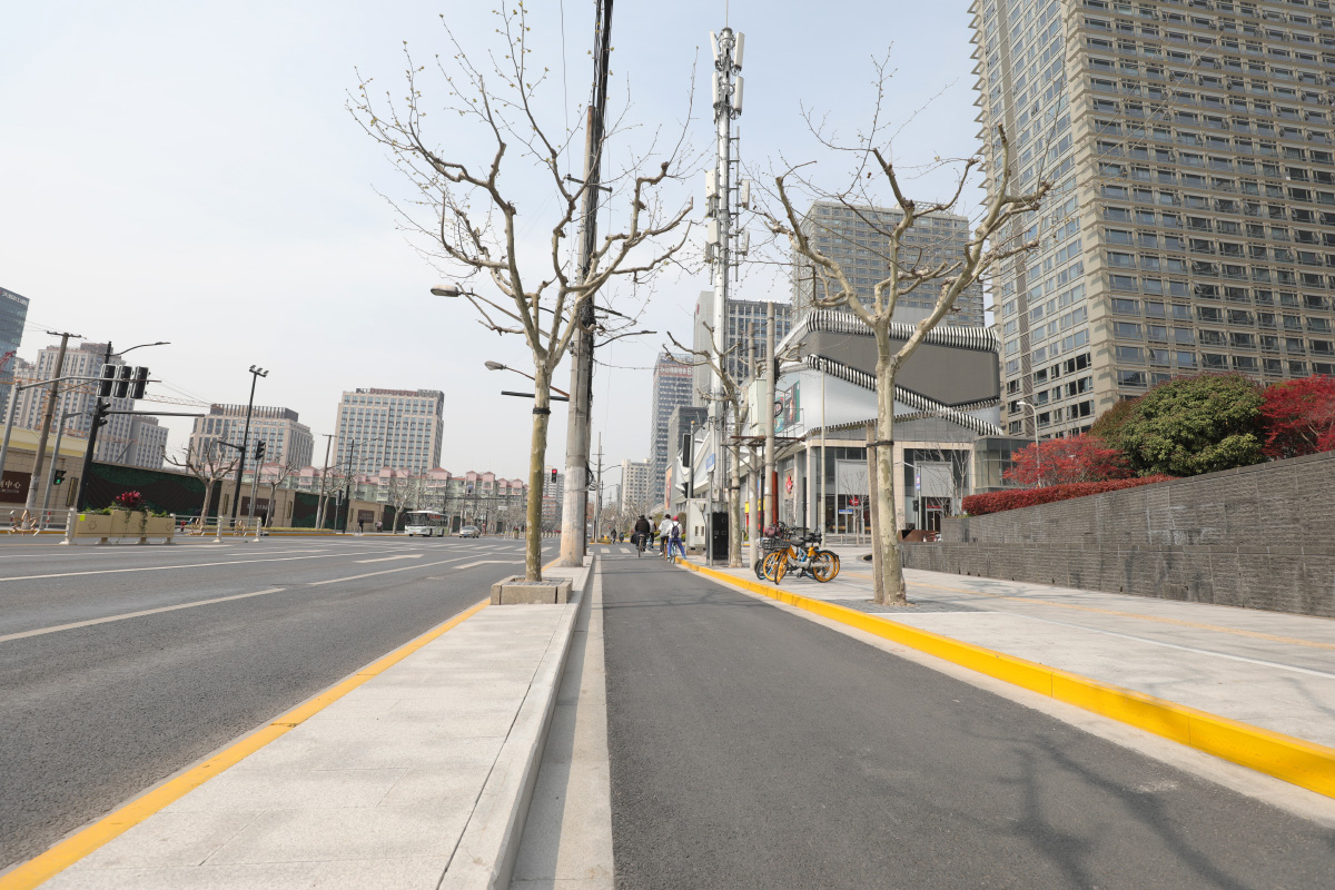 曹杨路（桃浦路-光复西路）架空线入地和合杆整治工程配套项目
