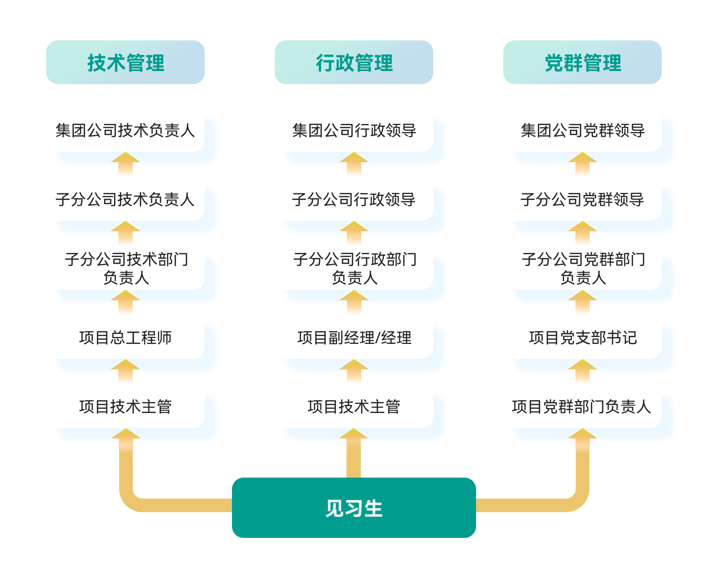 职业路径